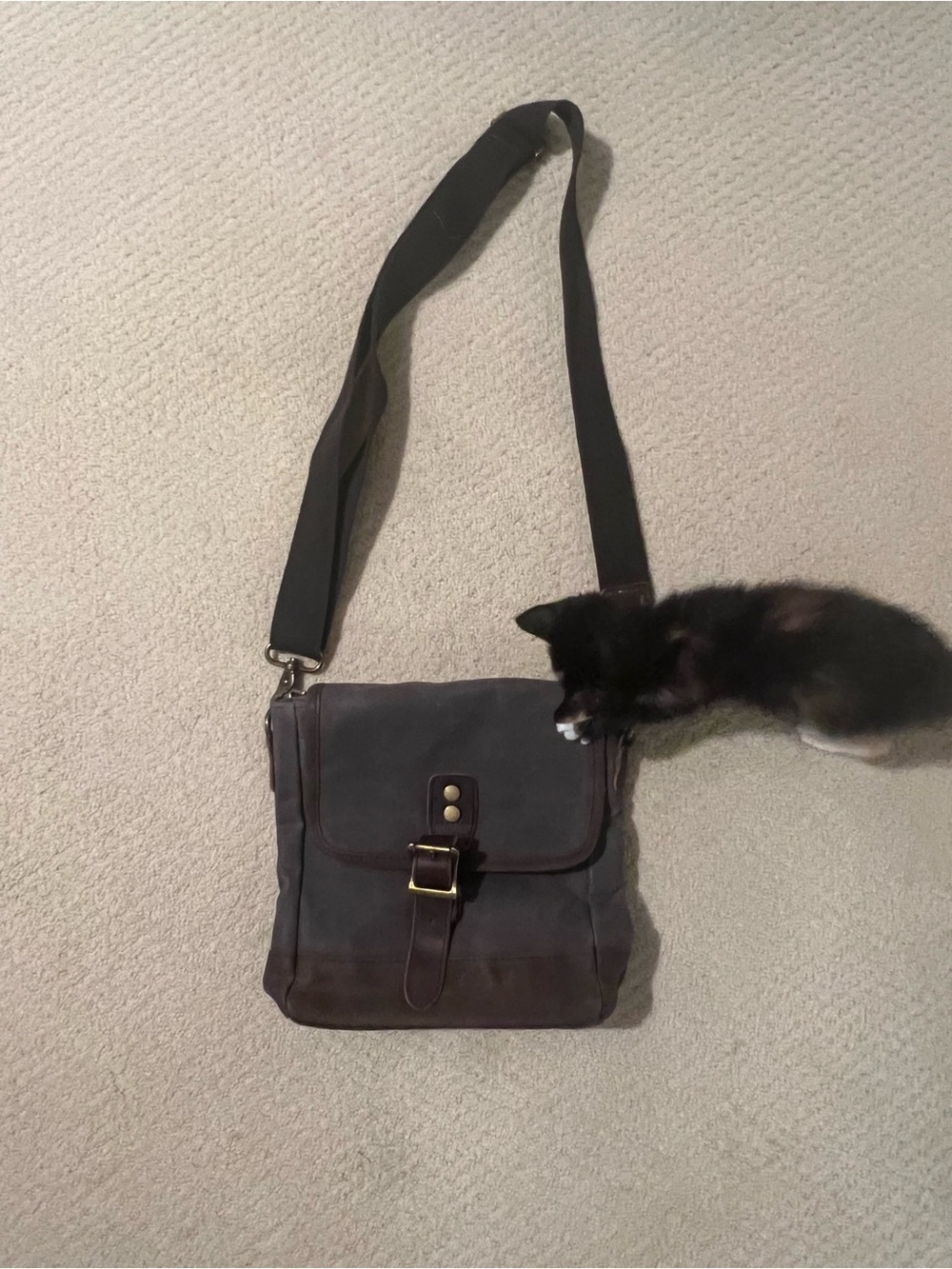 Source Unknown Dark Brown Canvas Messenger Bag with Leather Trim